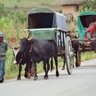 Scène de vie à Madagascar