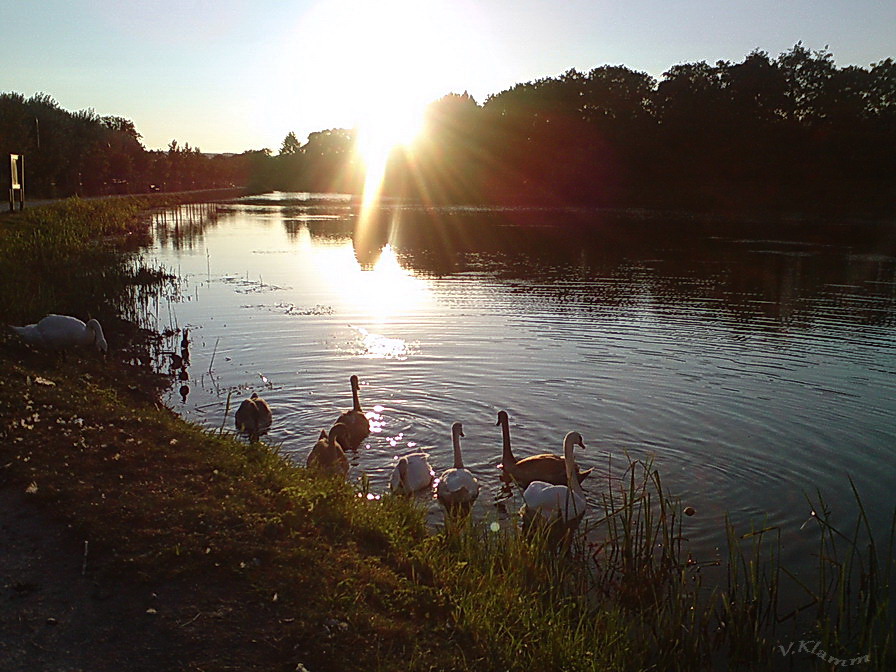 scène de vie en bord du canal