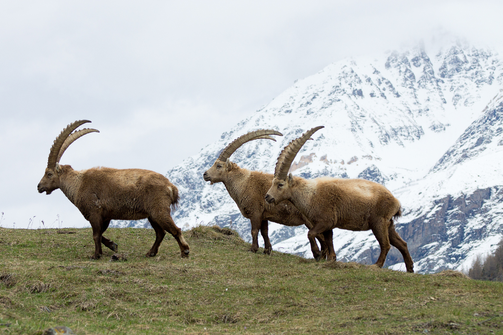 Scene di Aprile in montagna.