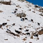 Scene di montagna di dicembre