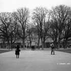 Scene di vita quotidiana a Place des Vosges - Paris