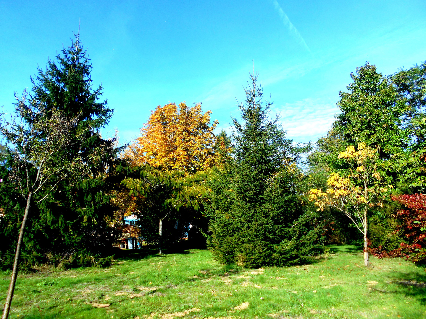 Scène du jardin en automne