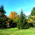 Scène du jardin en automne