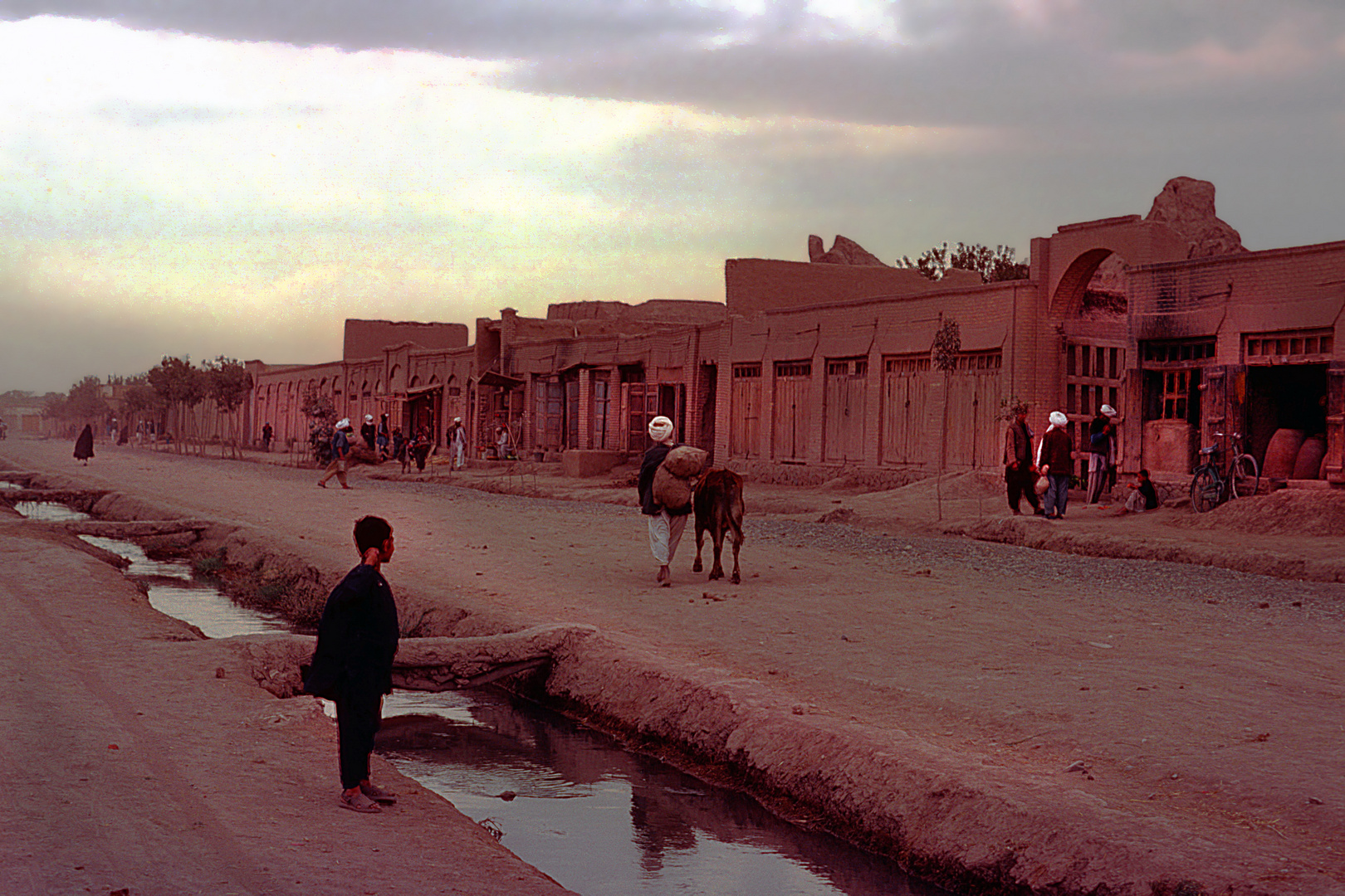 Scene during sunset in Herat