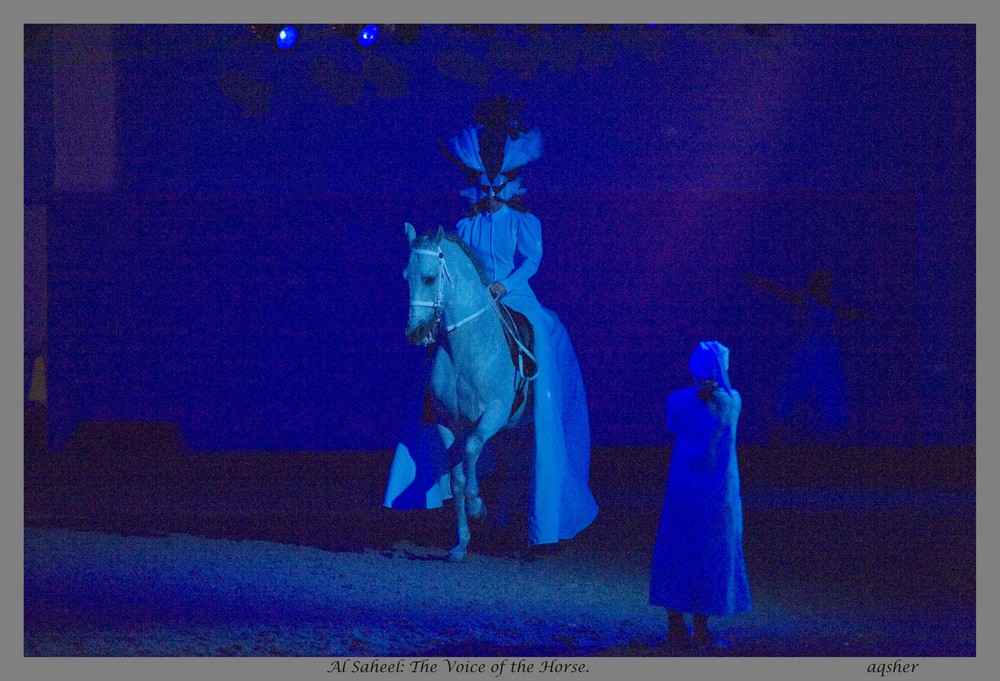 Scene from Al Saheel: The Voice of the Horse