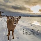 Scène hivernale sur Anticosti.