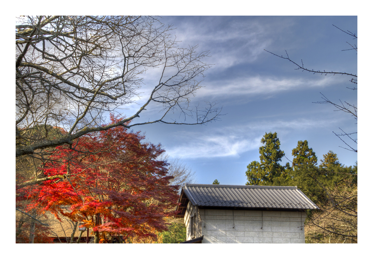 Scenery with storehouse