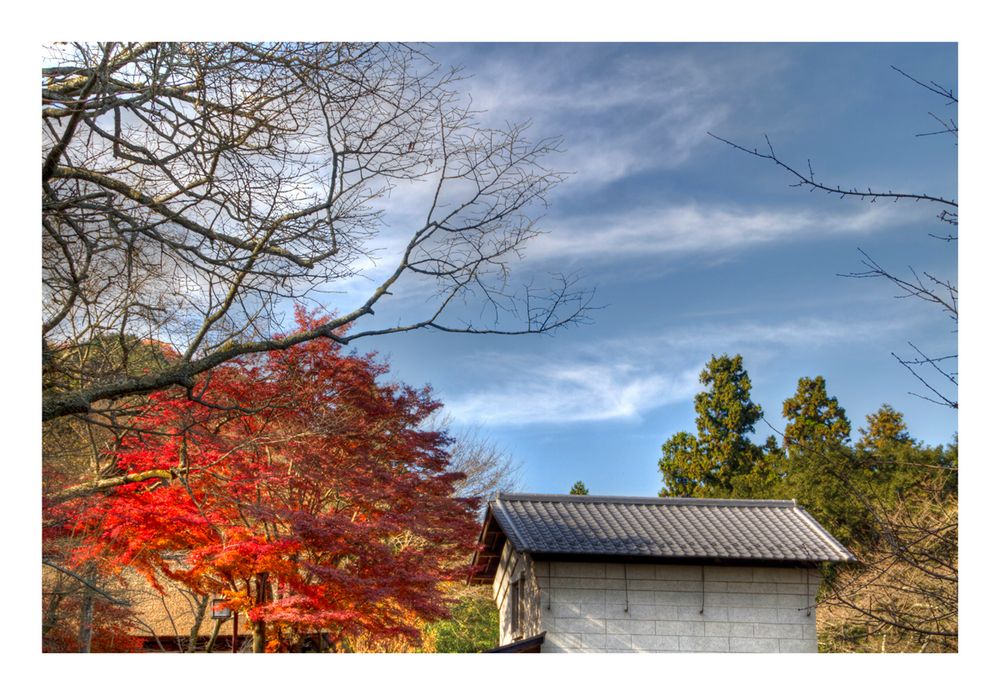 Scenery with storehouse