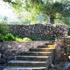 SceneryArt 02 - Weg zum Castillo de Xàtiva