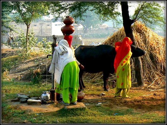 Scènes de vie à la pompe 