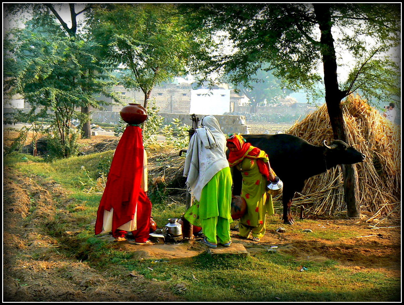 Scènes de vie au Rajasthan 