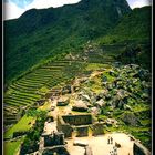 Scènes de vie - Machu Pichu 