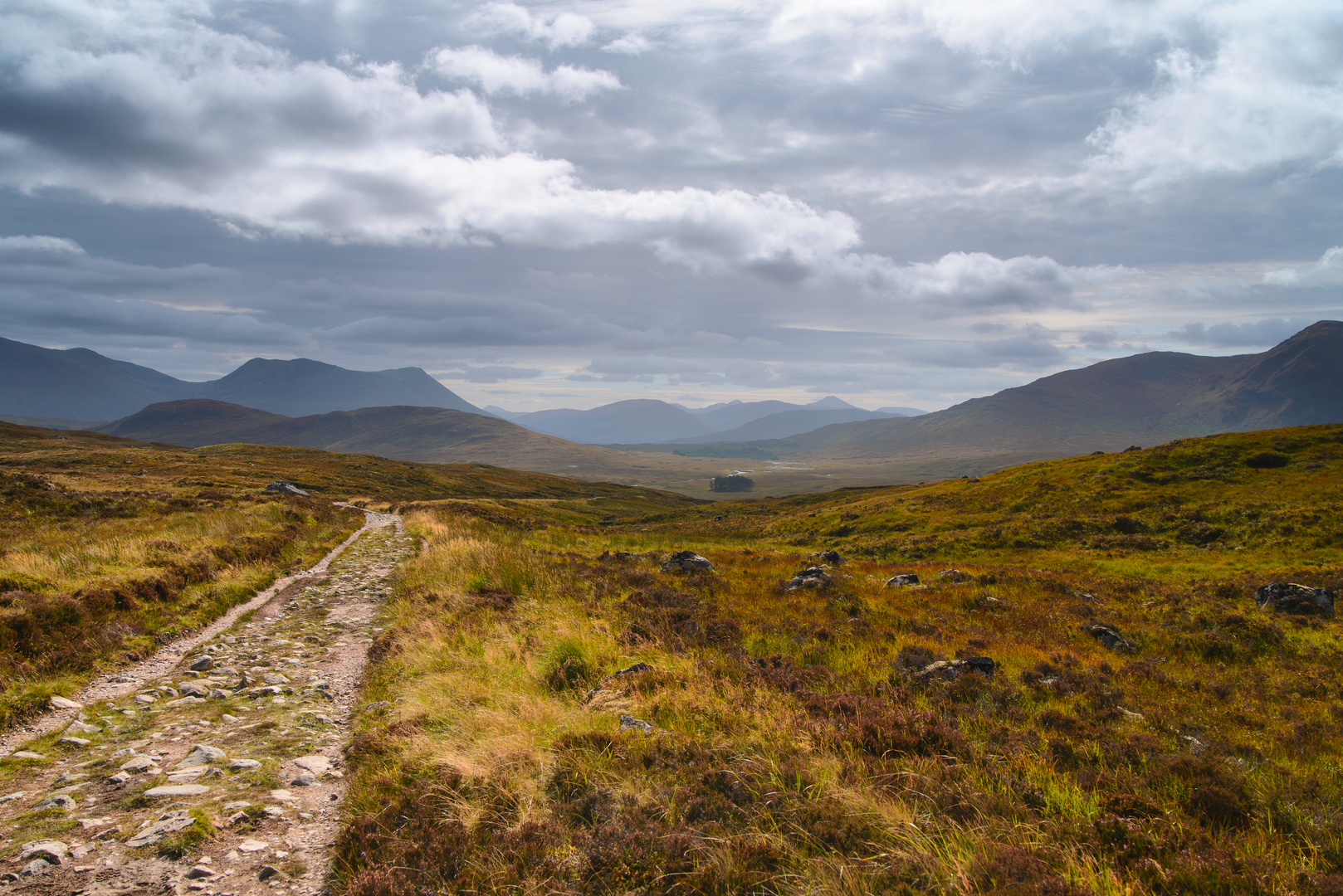 [ Scenes from the West Highland Way/Black Mount ]