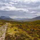 [ Scenes from the West Highland Way/Black Mount ]