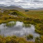 [ Scenes from the  West Highland Way/Black Mount 2 ]