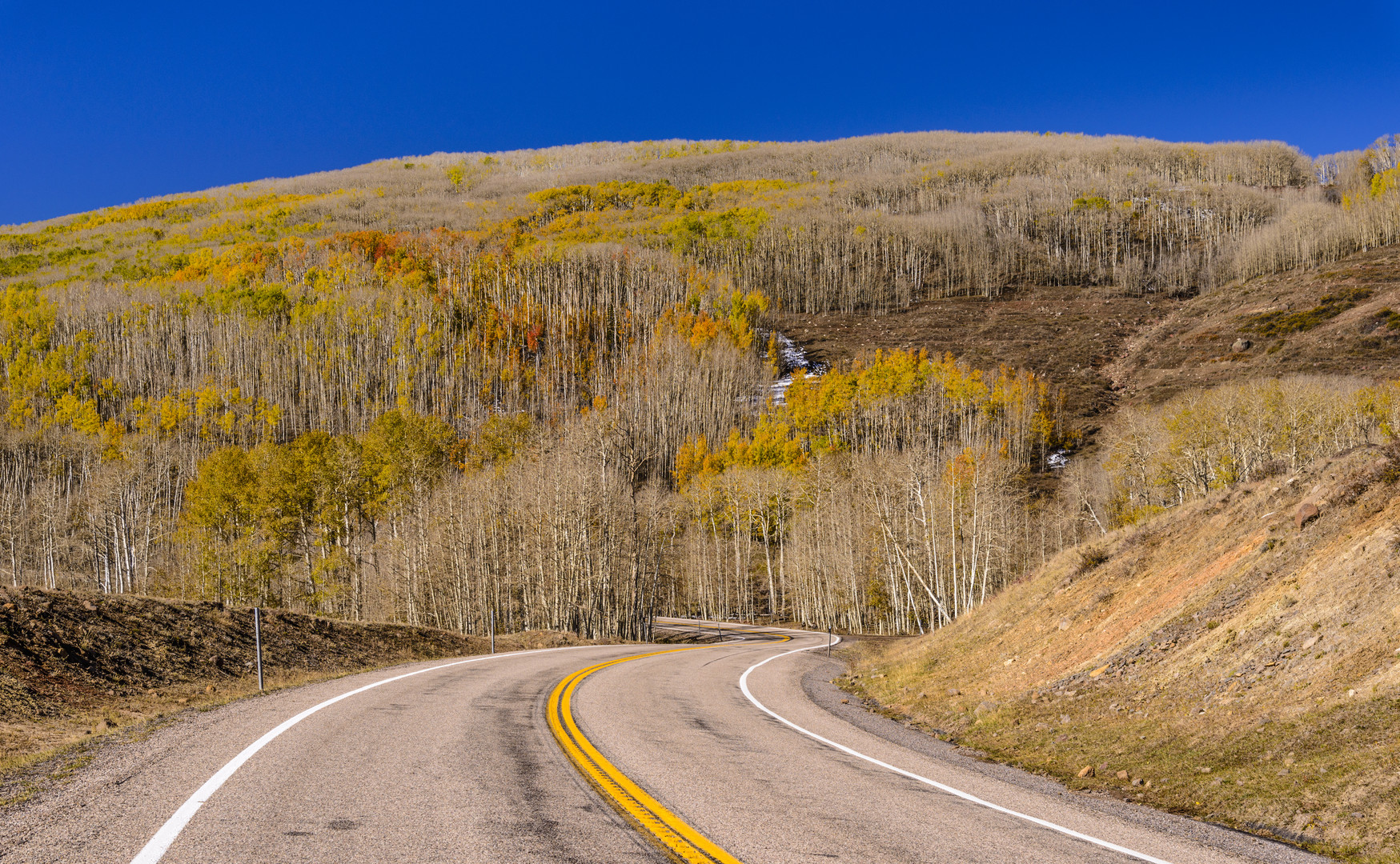 Scenic Byway 12, Boulder Mountain, Utah, USA (1)