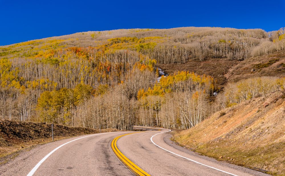 Scenic Byway 12, Boulder Mountain, Utah, USA (1)