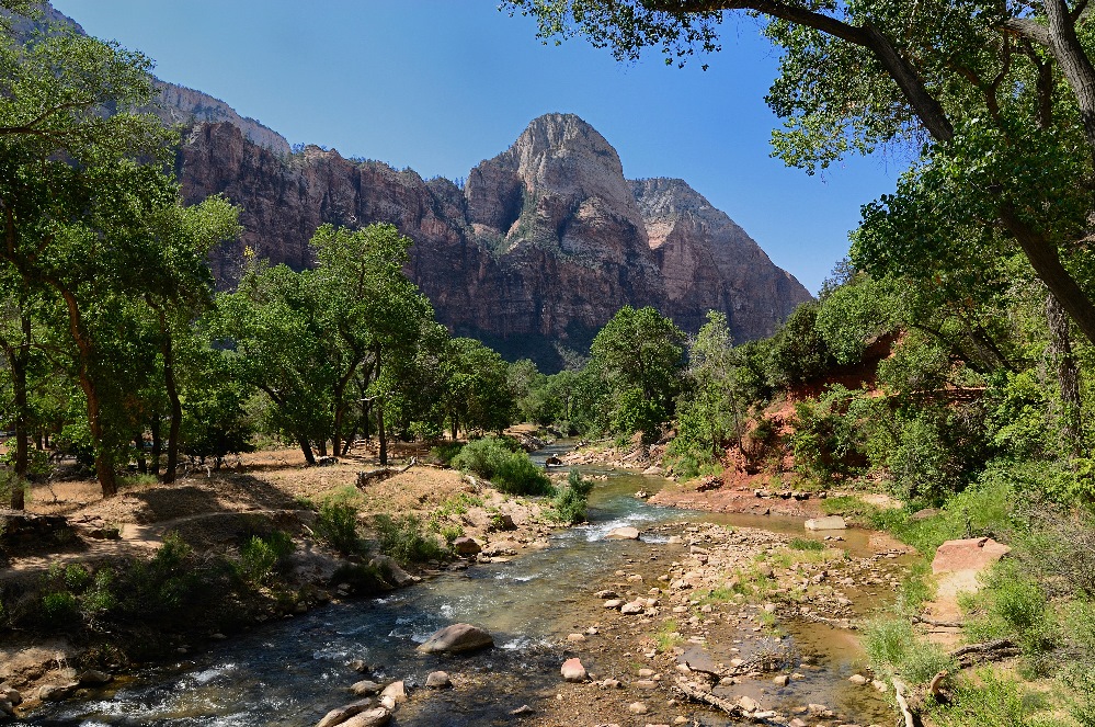 Scenic river view (Zion Ntl. Park USA 2008)