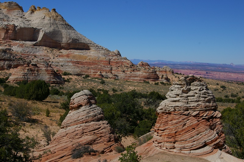 Scenic View from White Pocket Area