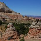 Scenic View from White Pocket Area