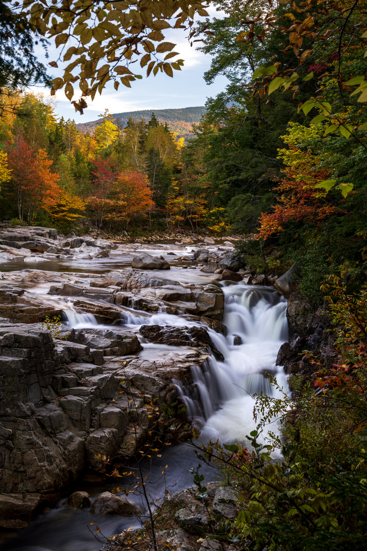 Scenic view of the Swift river