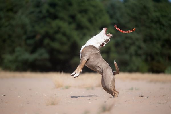 Sch.... auf die Physio....