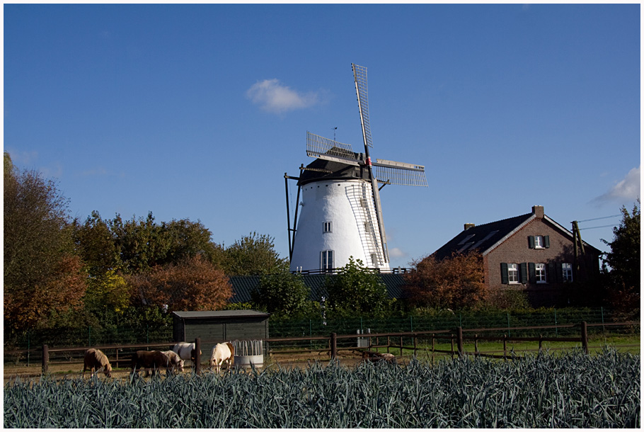 Schaag Mühle, Nettetal-Schaag