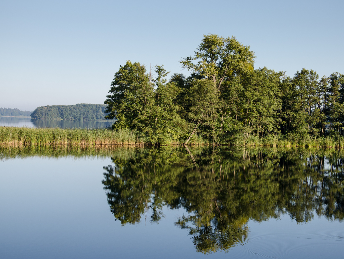 Schaalsee