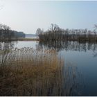 Schaalsee