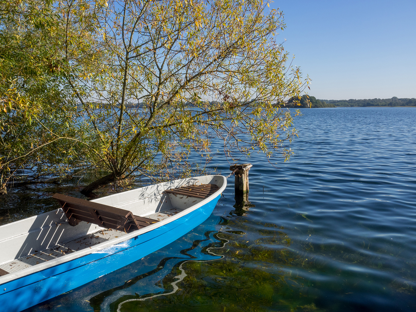 Schaalsee Bootsblau