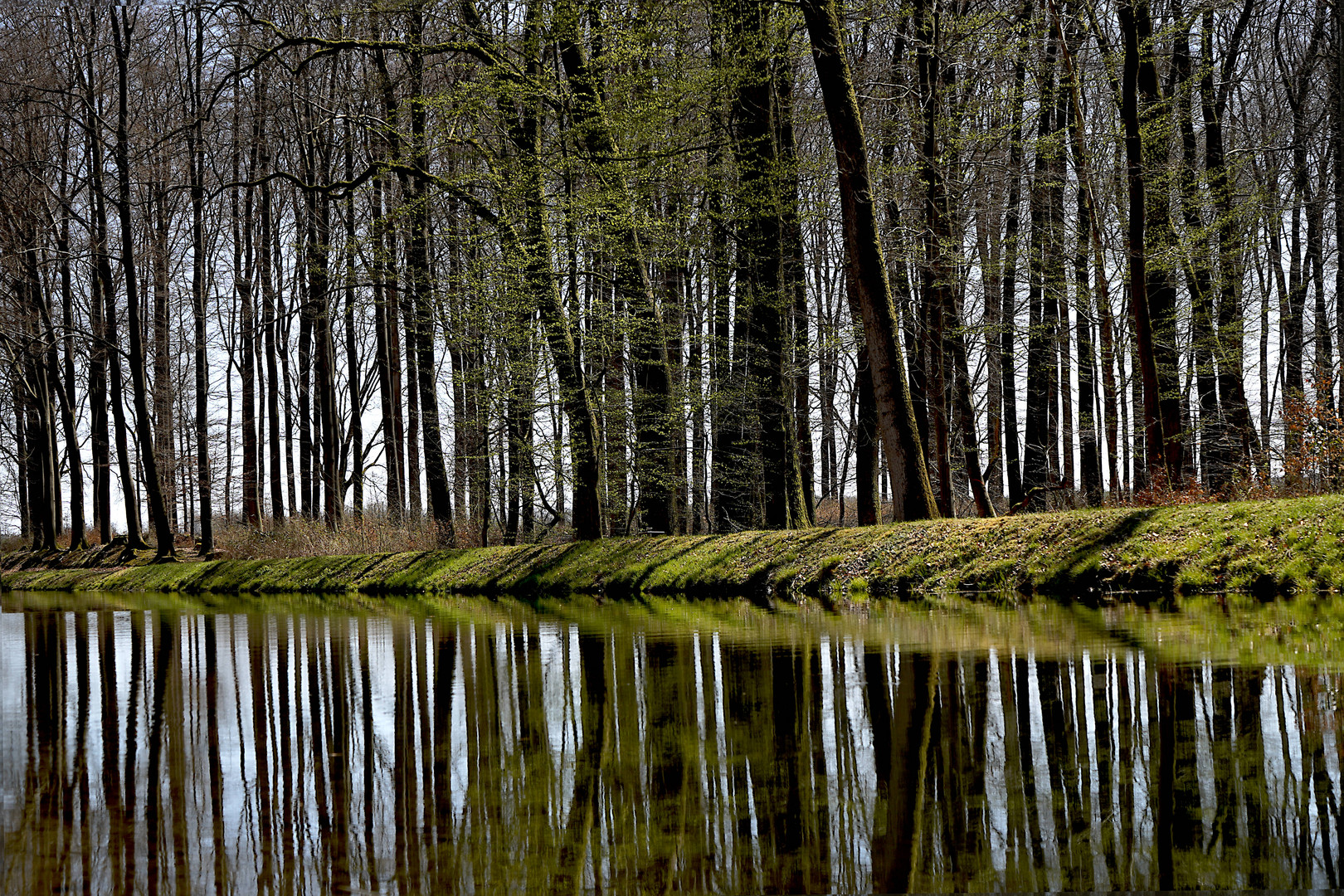 Schaalseekanal