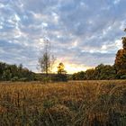 Schaarenwiese im letzten Licht des Tages