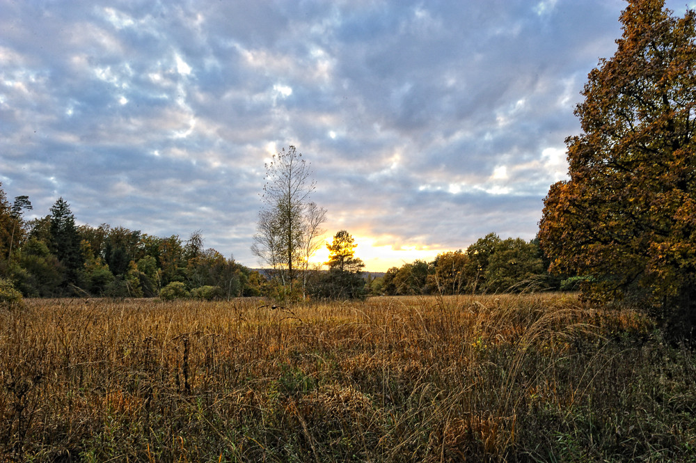 Schaarenwiese im letzten Licht des Tages