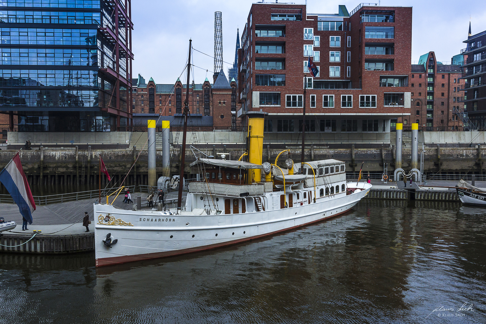 Schaarhörn im Sandtorhafen (Hamburg)