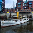 Schaarhörn im Sandtorhafen (Hamburg)