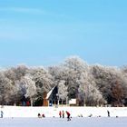 schaatsen, Winterswijk , hilgelomeer , hilgelo , Winter