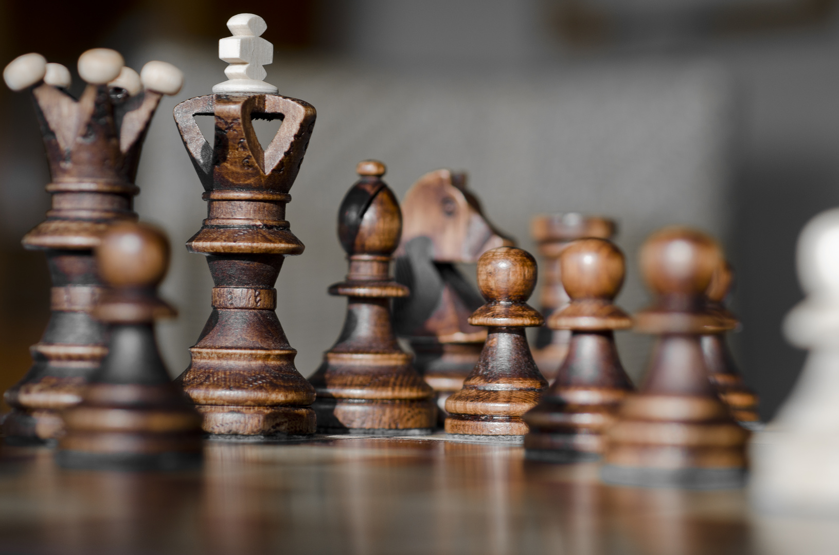 Schach Foto & Bild | stillleben, figuren und miniaturen, spiel Bilder