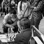 Schach am Domkloster