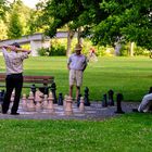 Schach - auf der grünen Wiese