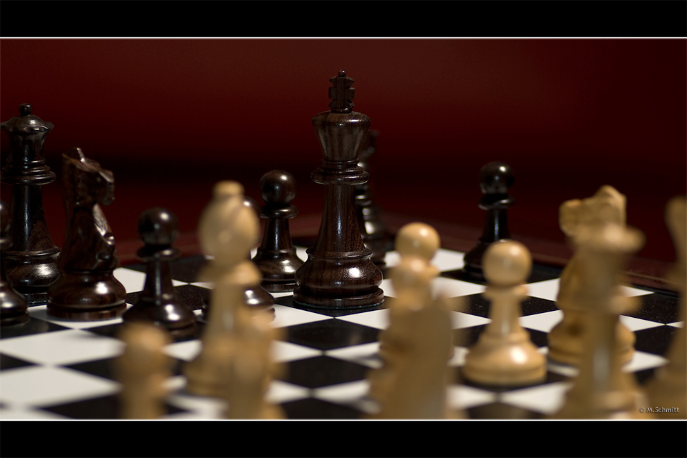 Schach: Der König im Focus