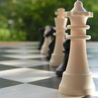 Schach, hätte jemand Lust zu spielen?