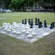 Schach