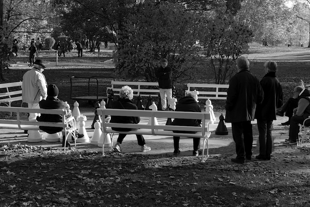 Schach im Park