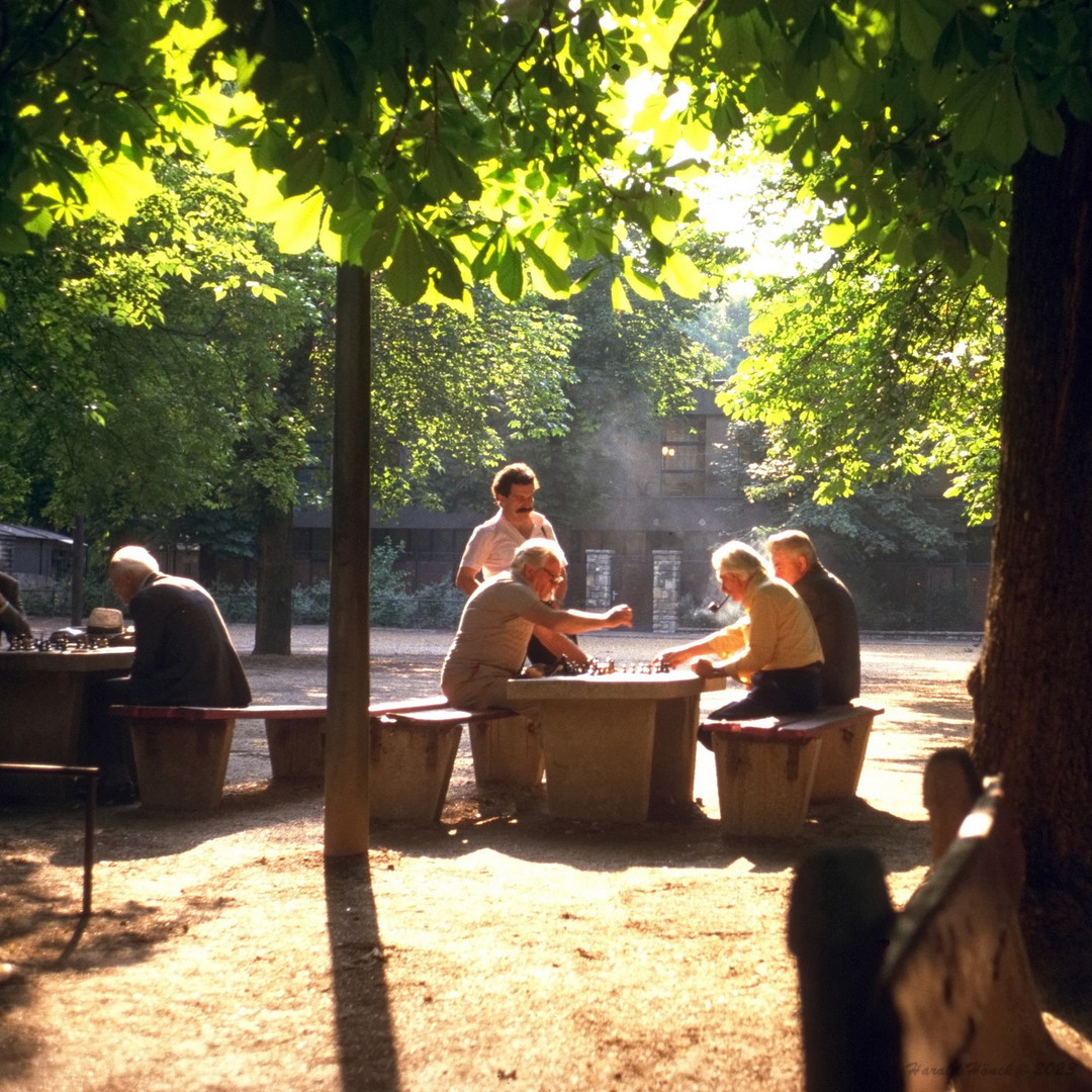 Schach im Park...