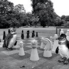 Schach im Stadtpark 