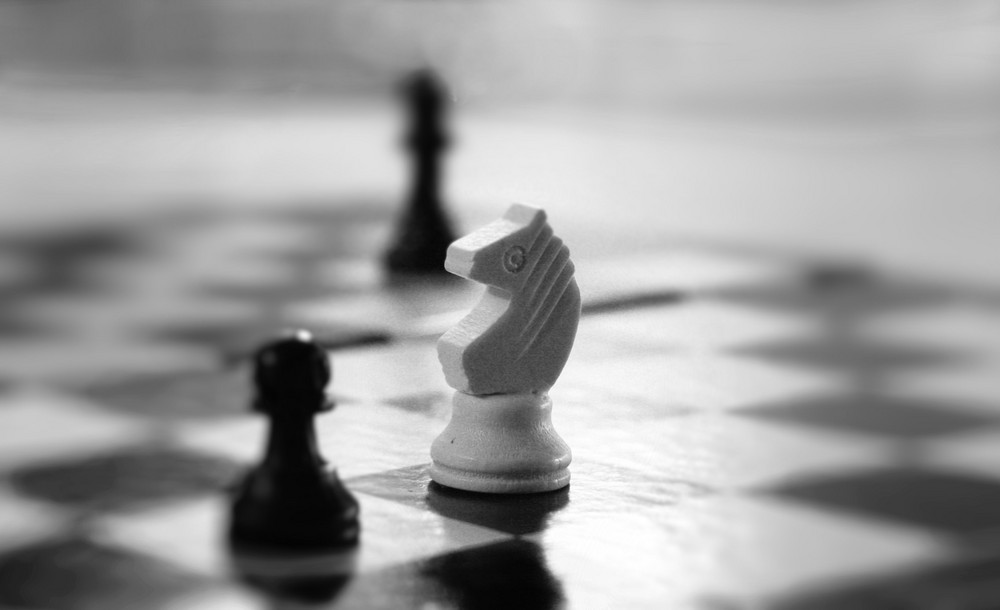 Schach ist nicht das Leben