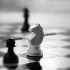 Schach ist nicht das Leben