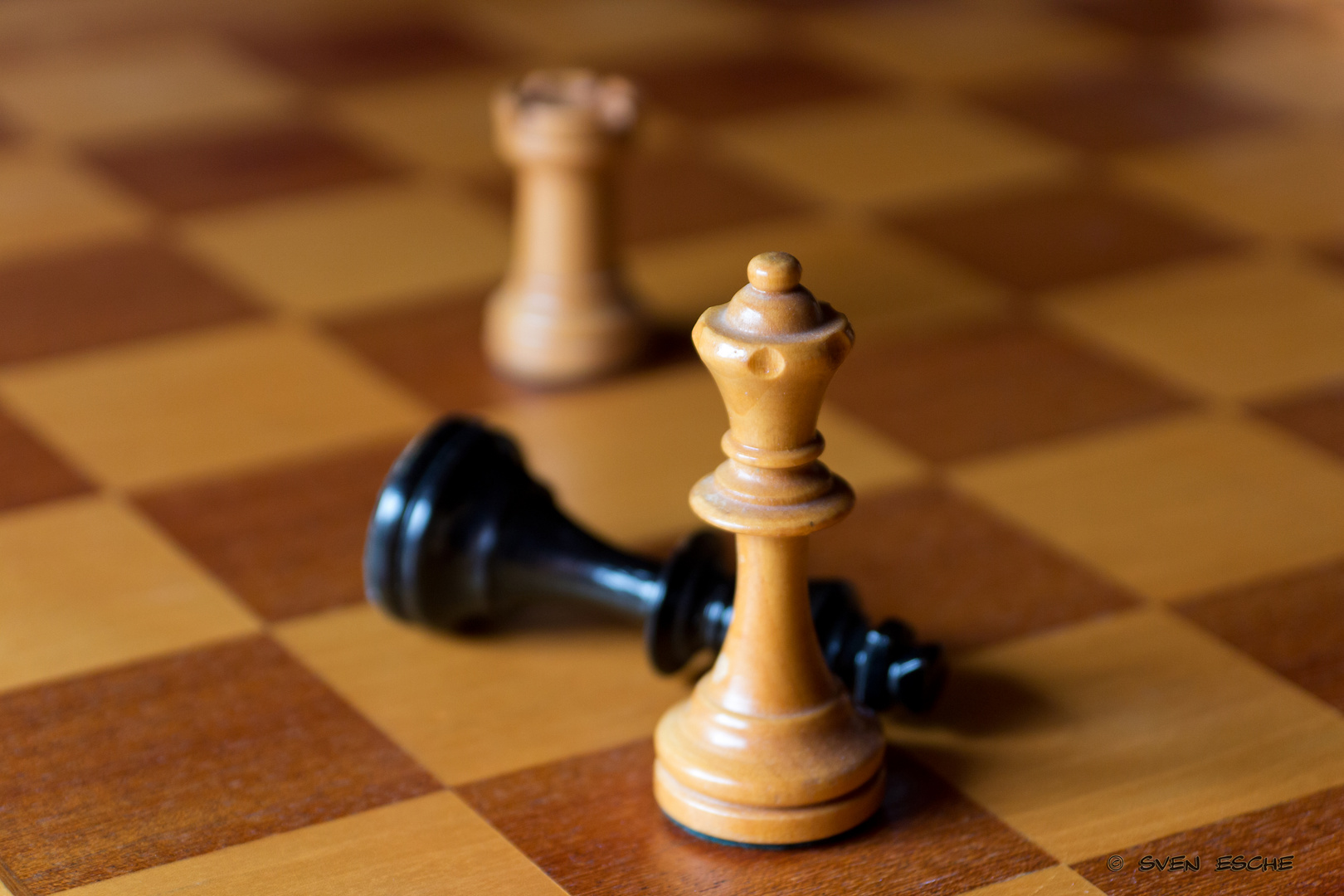 Schach Matt Foto Bild Stillleben Spiele Schach Bilder Auf Fotocommunity