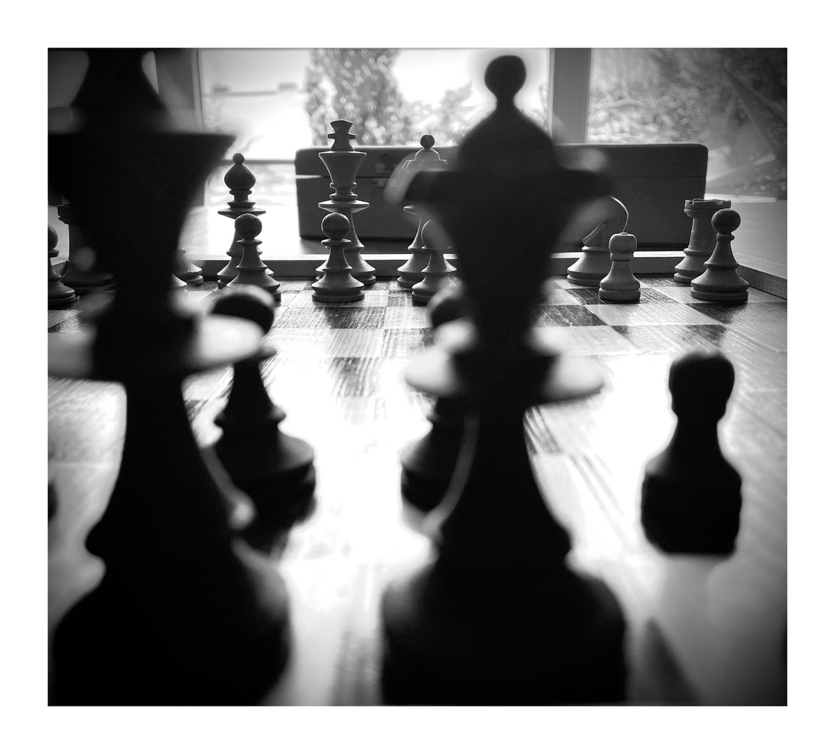 Schach (schwarzweißer Freitag 21.2.21)