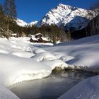 Schachen, Maderanertal, mit Düssi